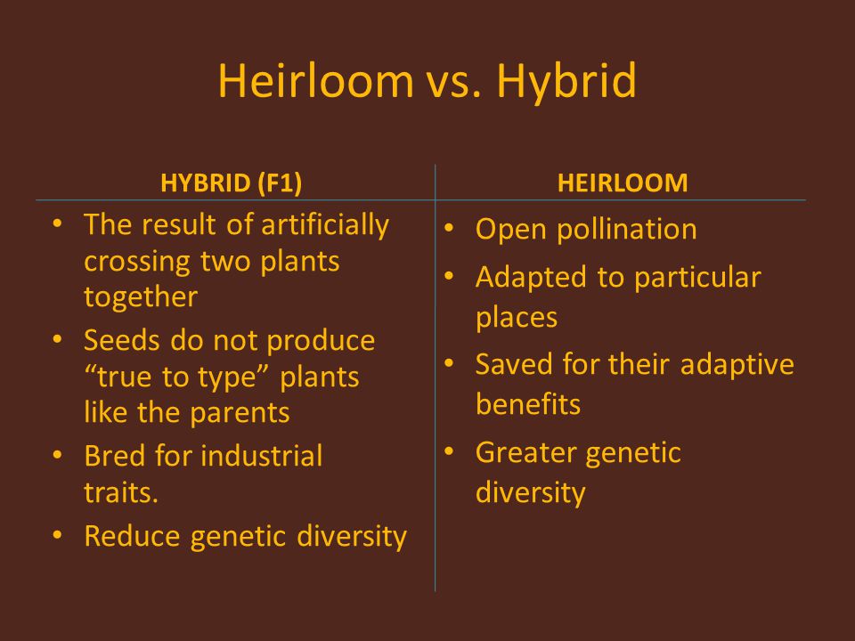 Heirloom vs. Hybrid HYBRID (F1) HEIRLOOM. The result of artificially crossing two plants together.