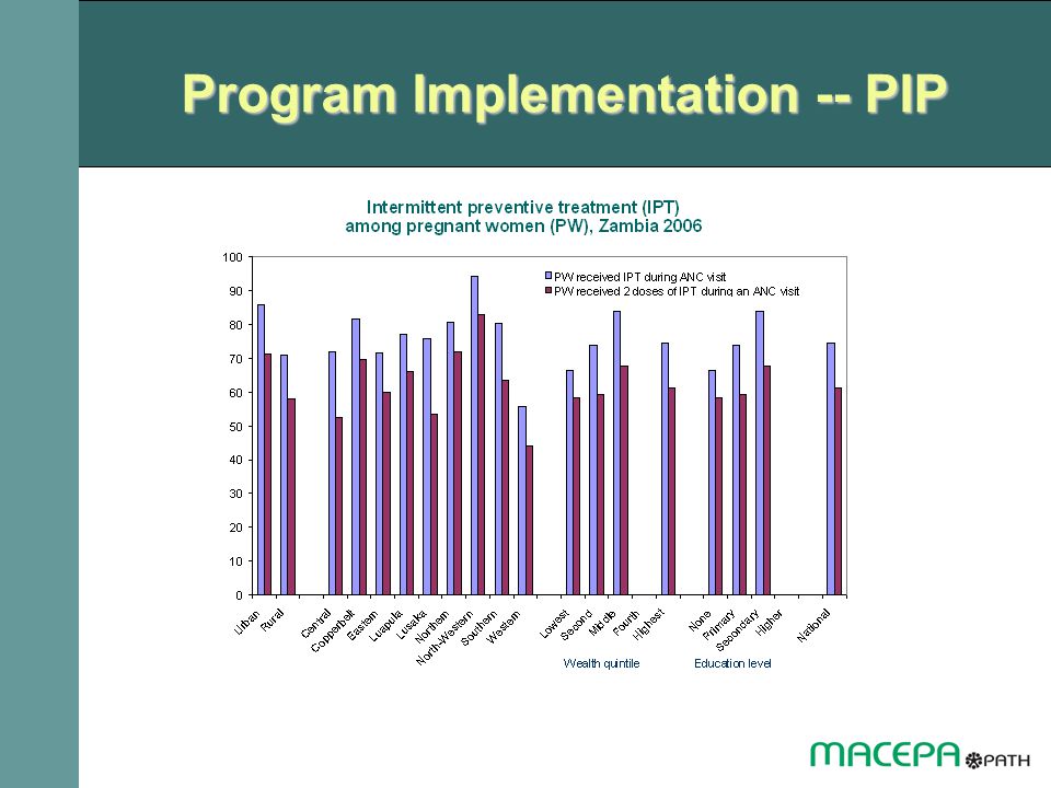 Program Implementation -- PIP