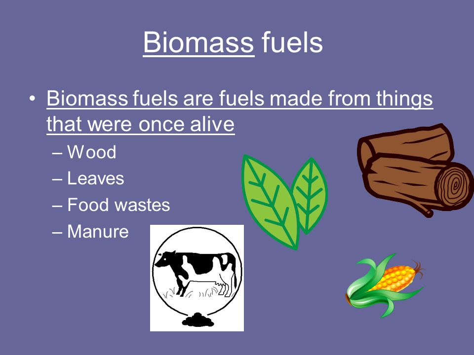 Biomass fuels Biomass fuels are fuels made from things that were once alive. Wood. Leaves. Food wastes.