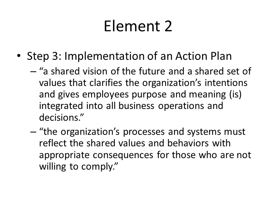 Element 2 Step 3: Implementation of an Action Plan