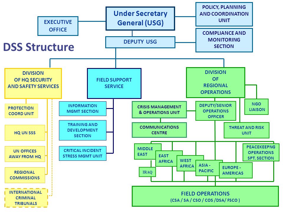 DSS Structure Under Secretary General (USG) EXECUTIVE OFFICE