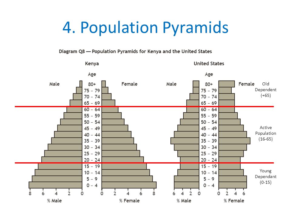 4. Population Pyramids Old Dependent (+65) Active Population (16-65)