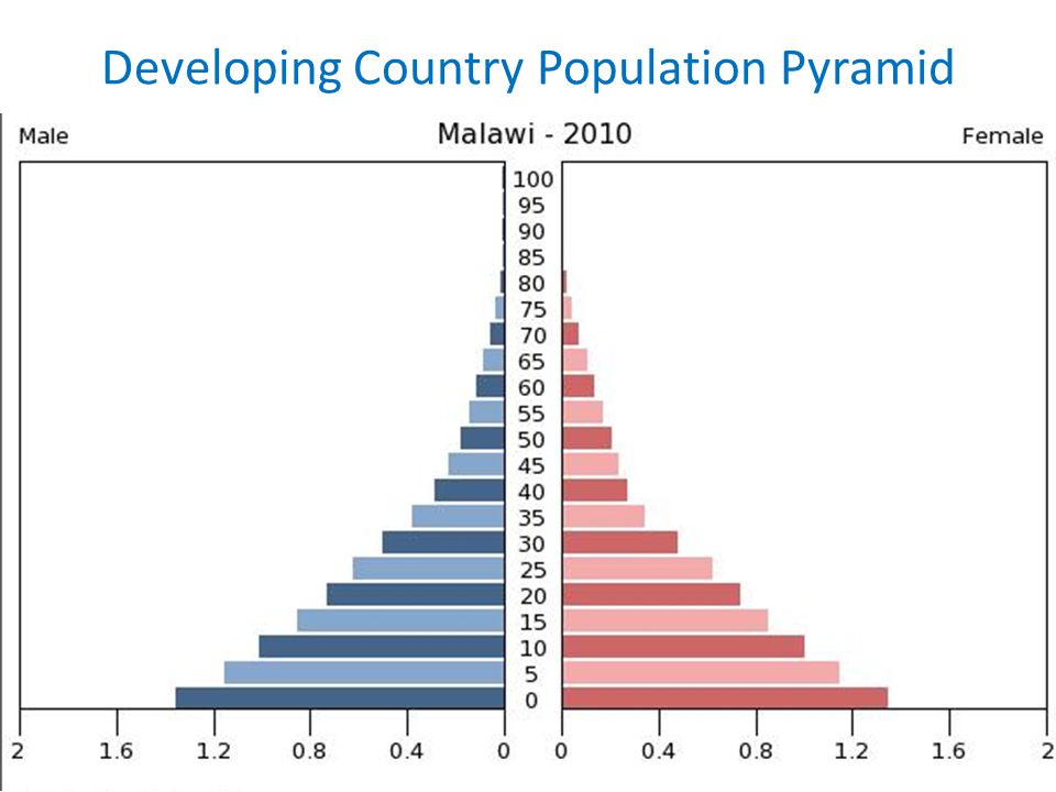 Developing Country Population Pyramid