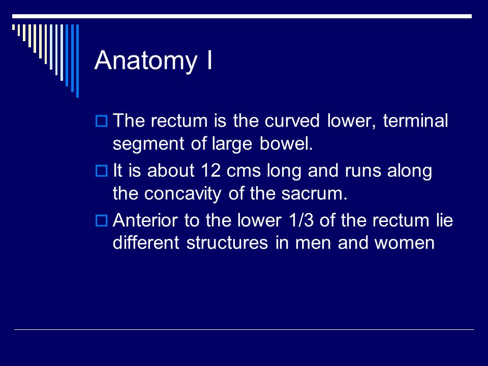 Anatomy I The rectum is the curved lower, terminal segment of large bowel. It is about 12 cms long and runs along the concavity of the sacrum.