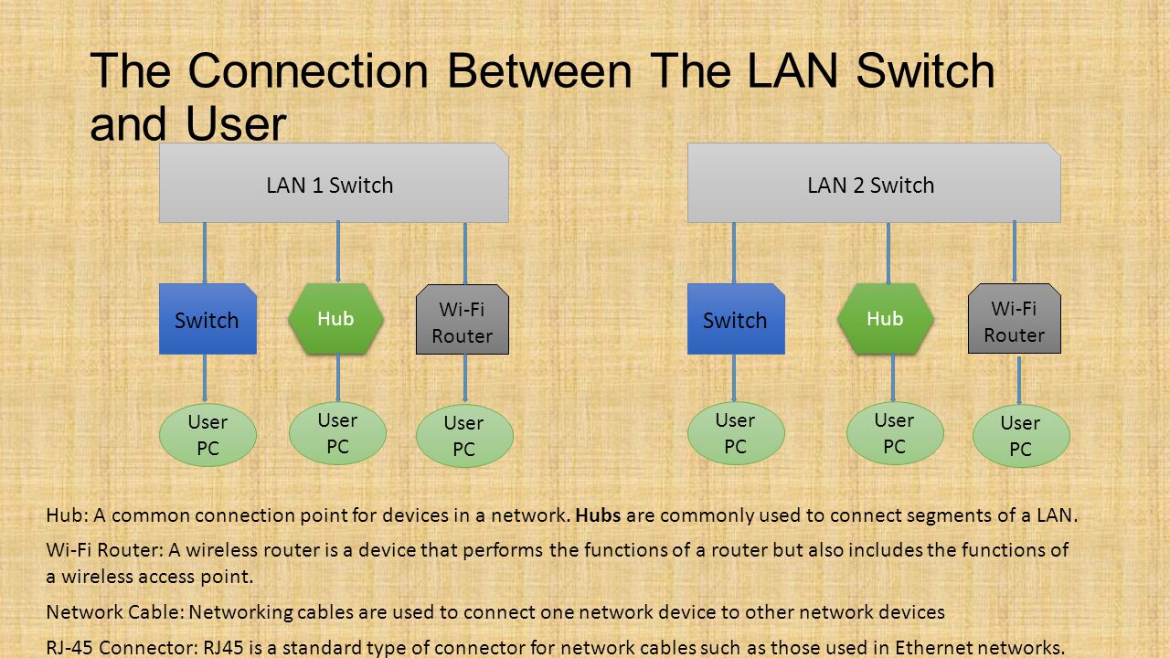 The Connection Between The LAN Switch and User