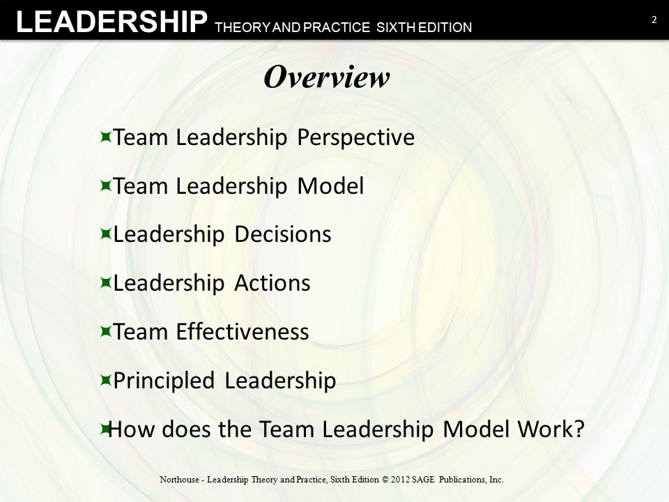 Overview Team Leadership Perspective Team Leadership Model