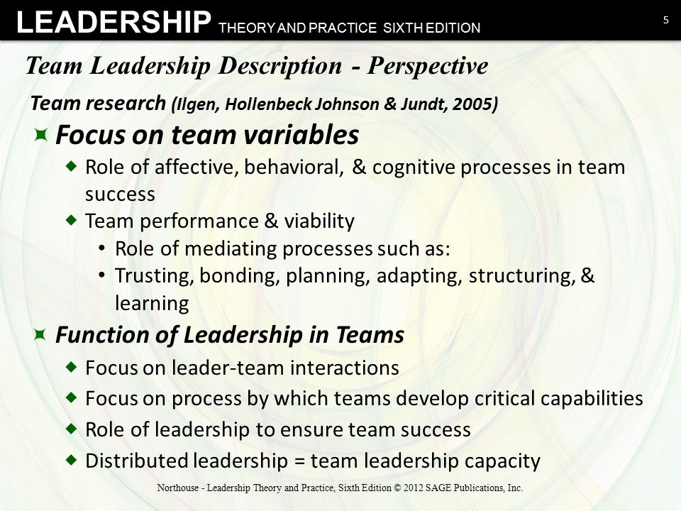 Team Leadership Description - Perspective