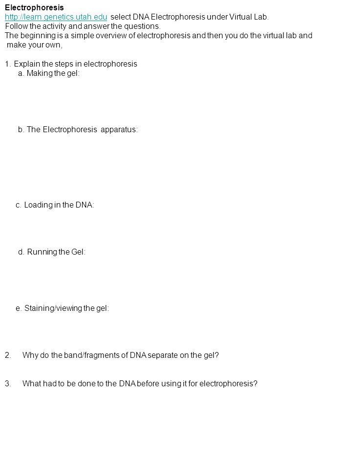 Electrophoresis   select DNA Electrophoresis under Virtual Lab. Follow the activity and answer the questions.