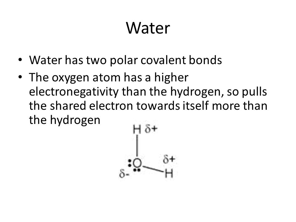 Water Water has two polar covalent bonds