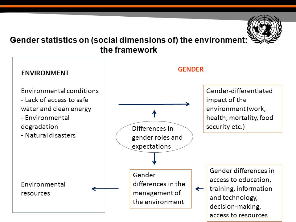 Gender statistics on (social dimensions of) the environment: the framework