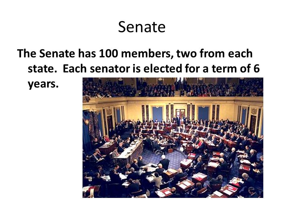 Senate The Senate has 100 members, two from each state.