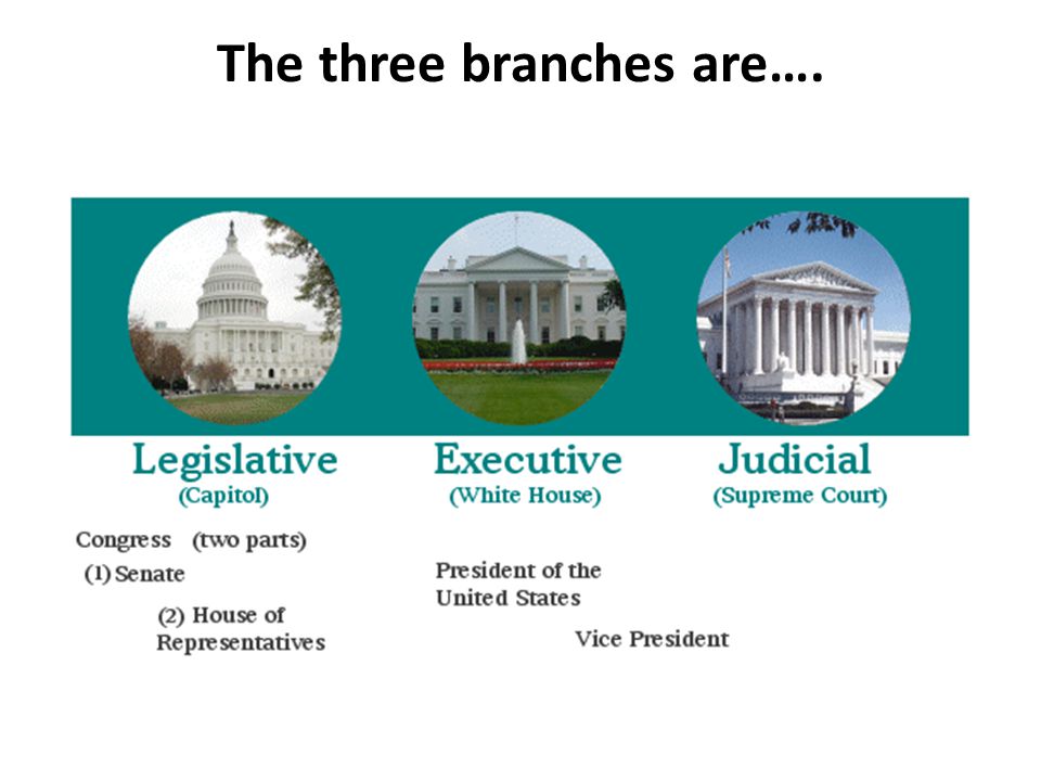 The three branches are….