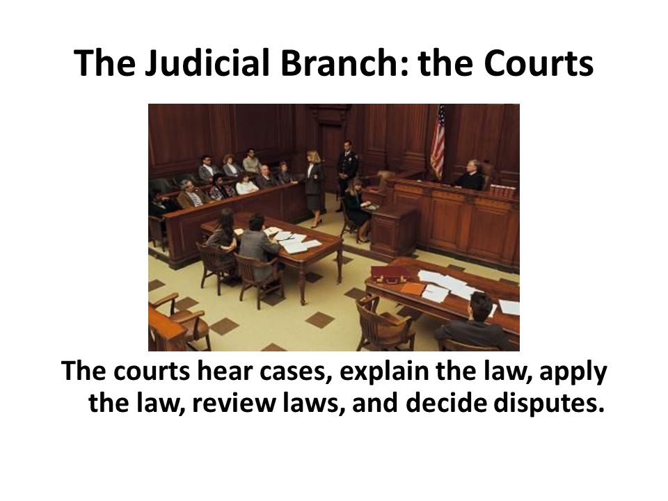 The Judicial Branch: the Courts