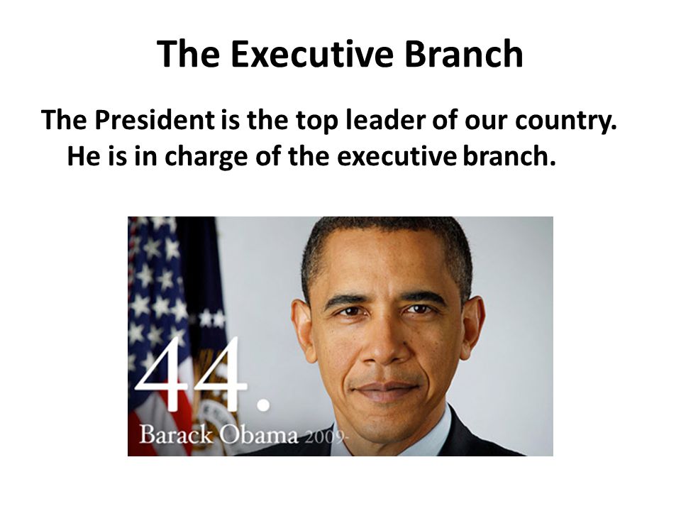 The Executive Branch The President is the top leader of our country.