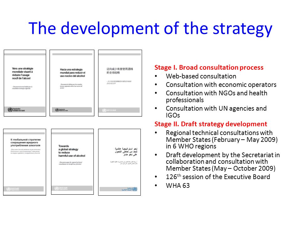 The development of the strategy