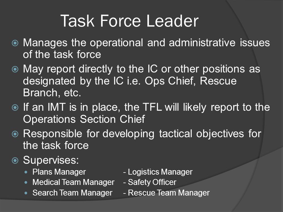 Task Force Leader Manages the operational and administrative issues of the task force.
