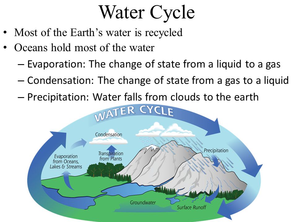 Water Cycle Most of the Earth’s water is recycled
