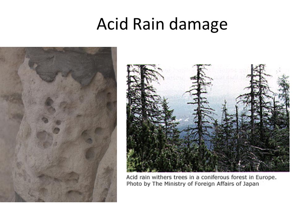 Acid Rain damage