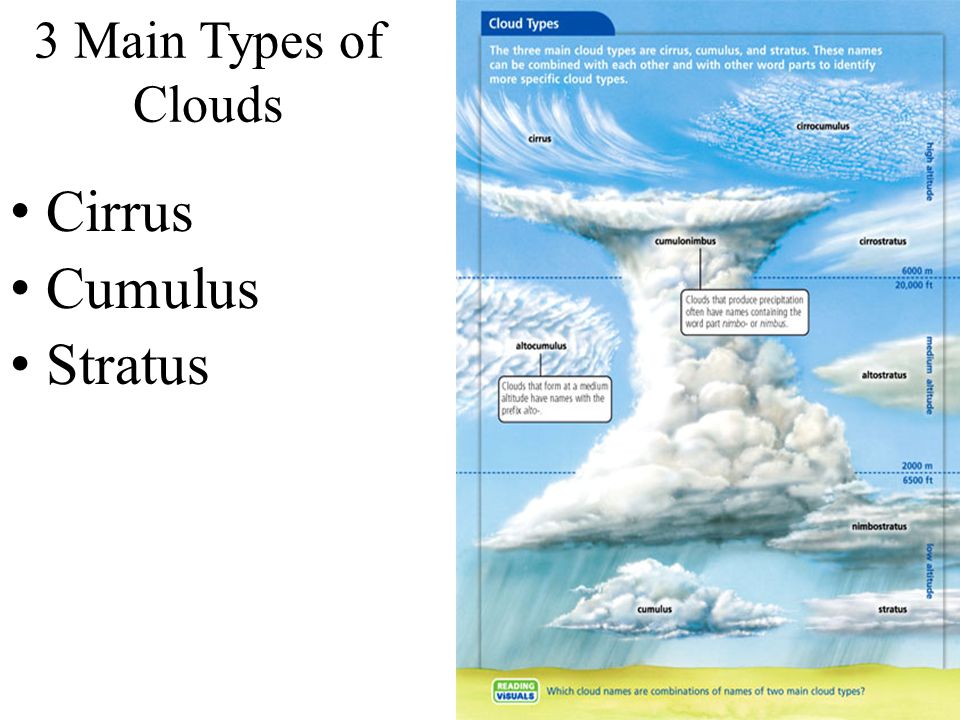 3 Main Types of Clouds Cirrus Cumulus Stratus