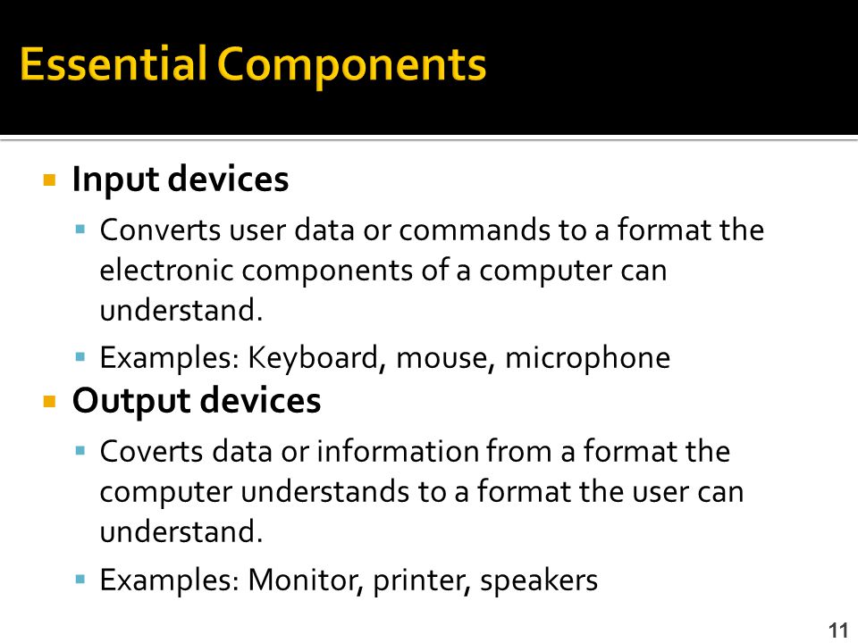 Essential Components Input devices Output devices