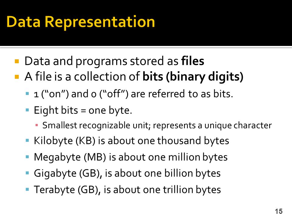 Data Representation Data and programs stored as files