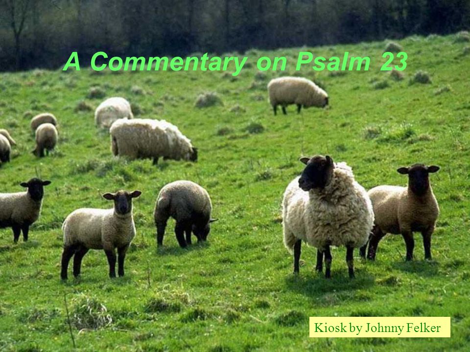 A Commentary on Psalm 23 Kiosk by Johnny Felker