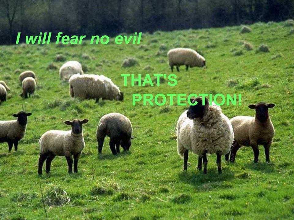 I will fear no evil THAT S PROTECTION!