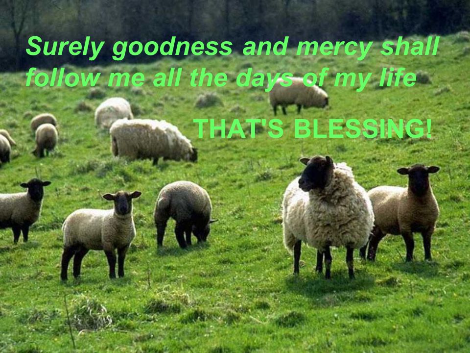 Surely goodness and mercy shall follow me all the days of my life