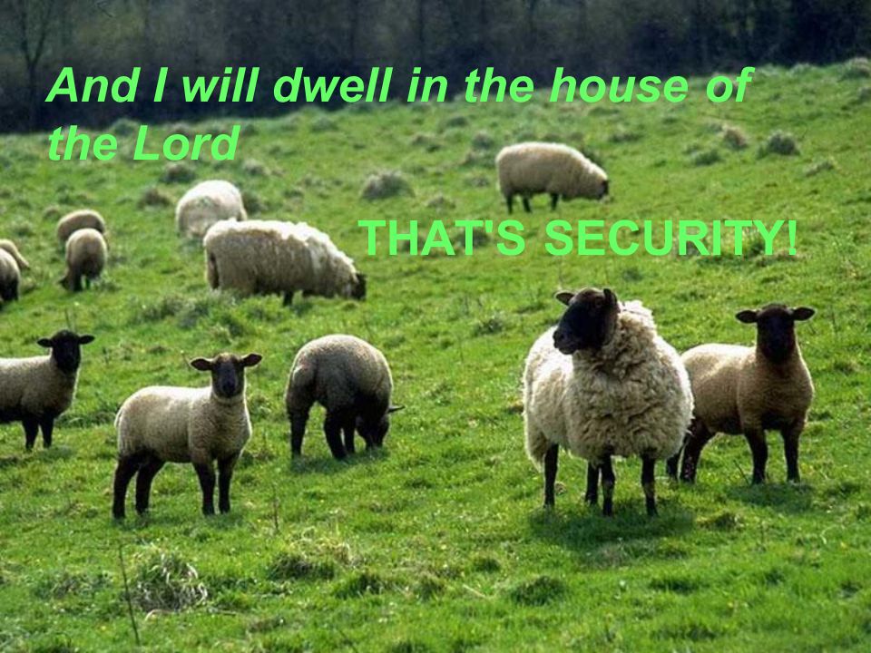 And I will dwell in the house of the Lord