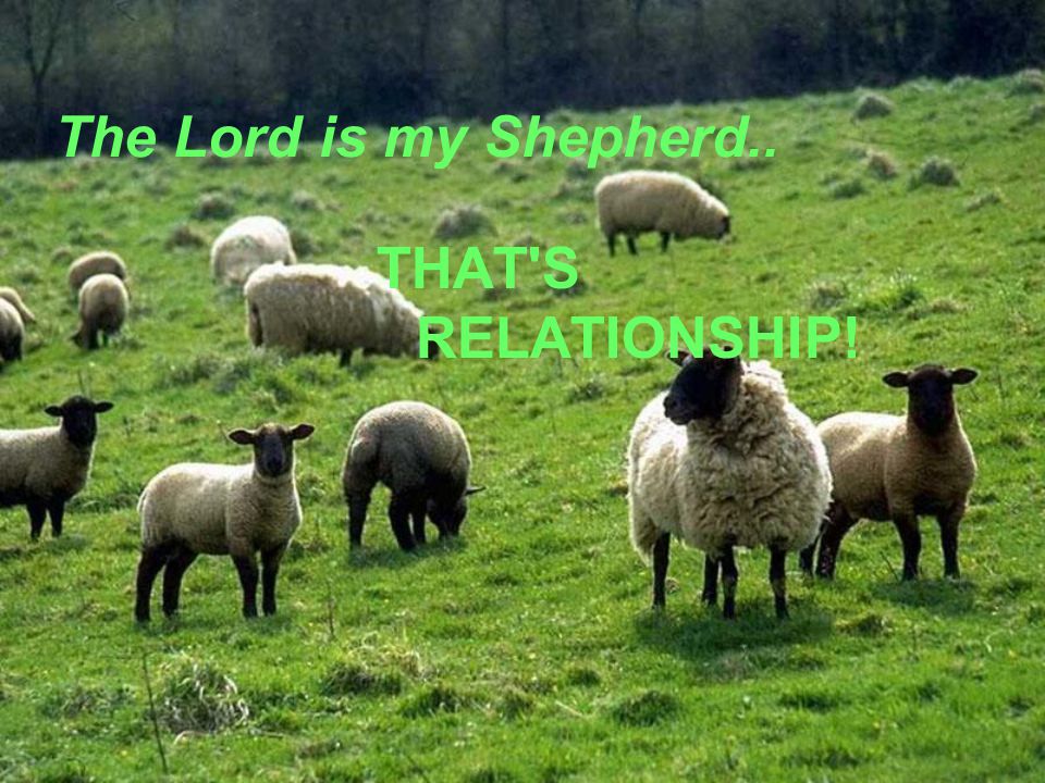 The Lord is my Shepherd.. THAT S RELATIONSHIP!
