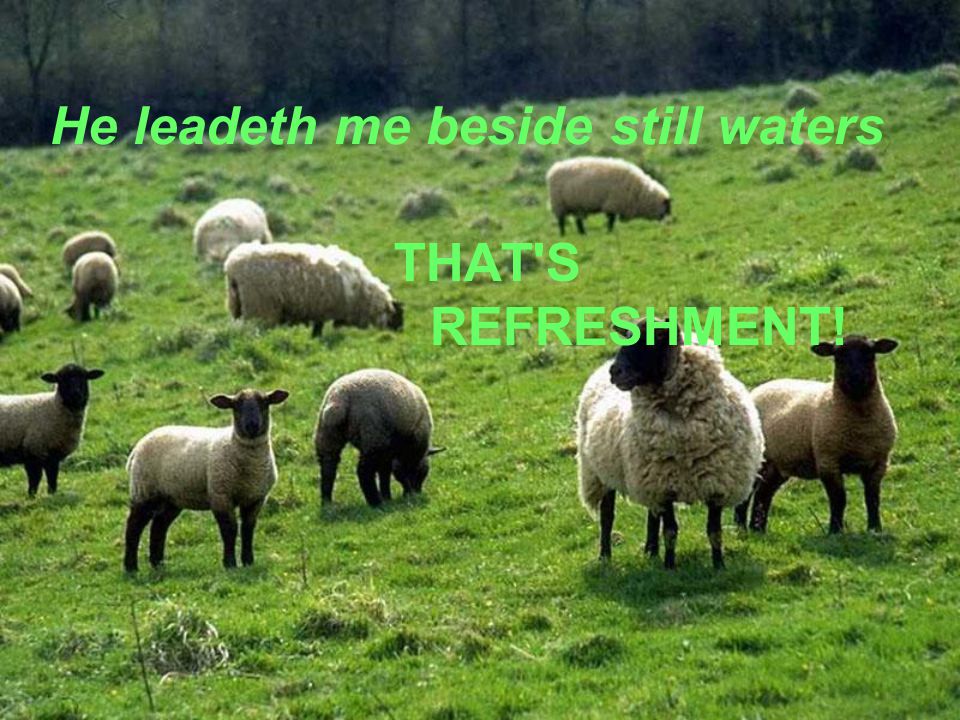 He leadeth me beside still waters