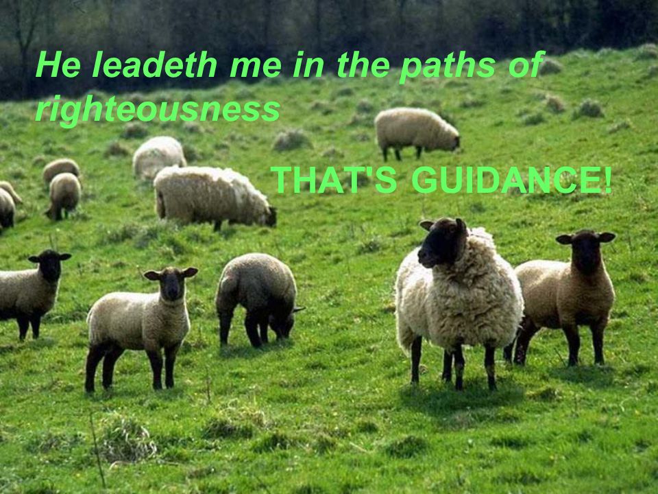 He leadeth me in the paths of righteousness