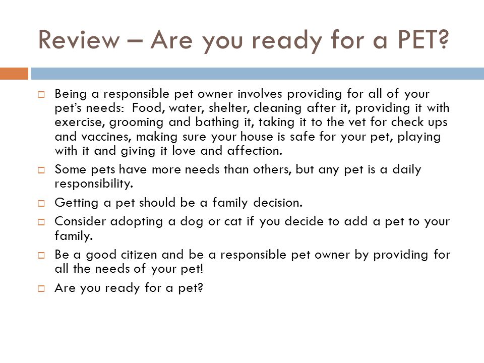 Review – Are you ready for a PET
