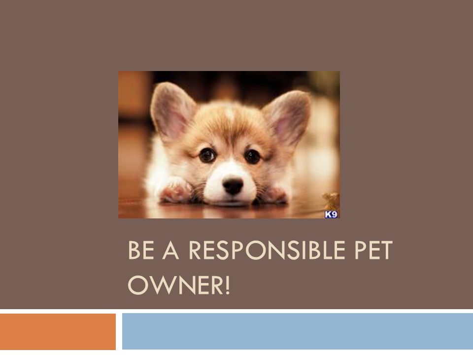 Be A RESPONSIBLE PET OWNER!