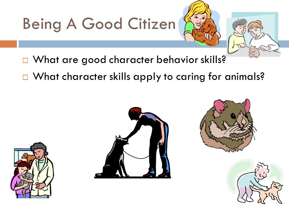 Being A Good Citizen What are good character behavior skills