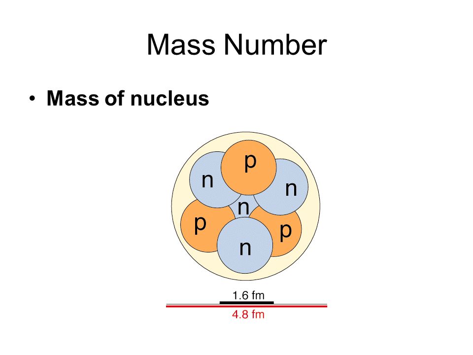 Mass Number Mass of nucleus