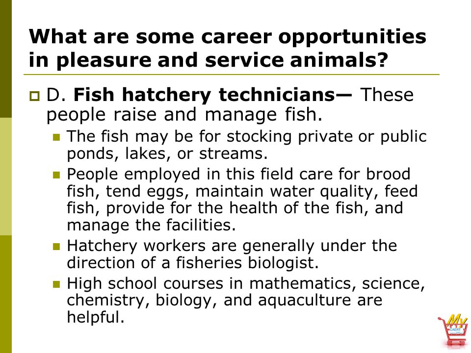 What are some career opportunities in pleasure and service animals