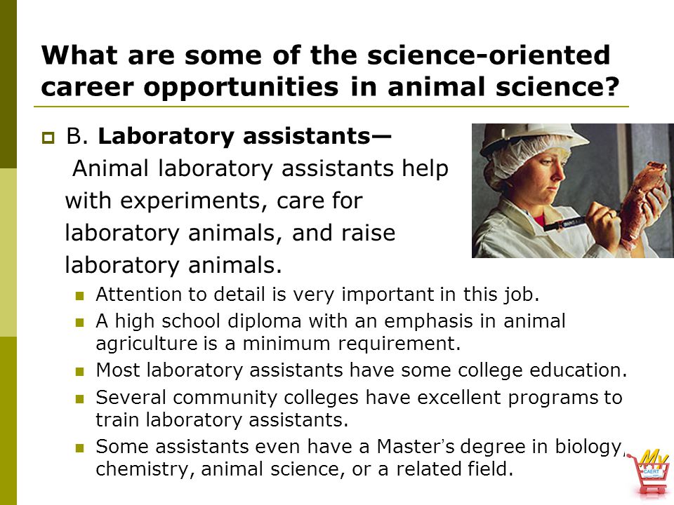 What are some of the science-oriented career opportunities in animal science