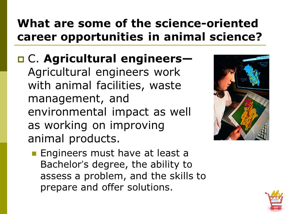 What are some of the science-oriented career opportunities in animal science
