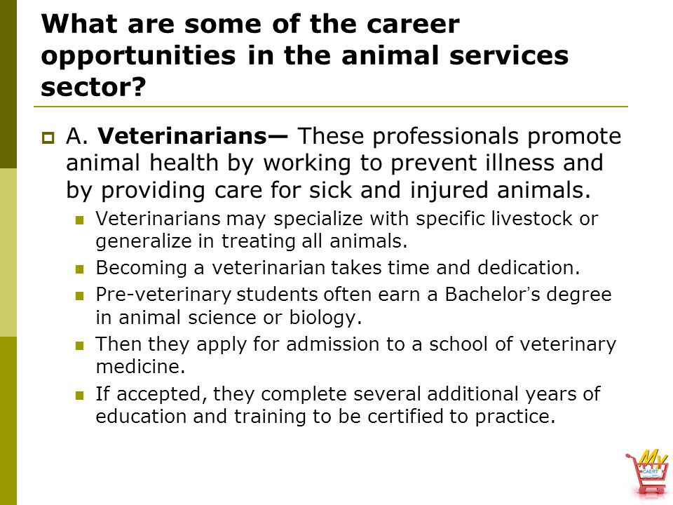What are some of the career opportunities in the animal services sector