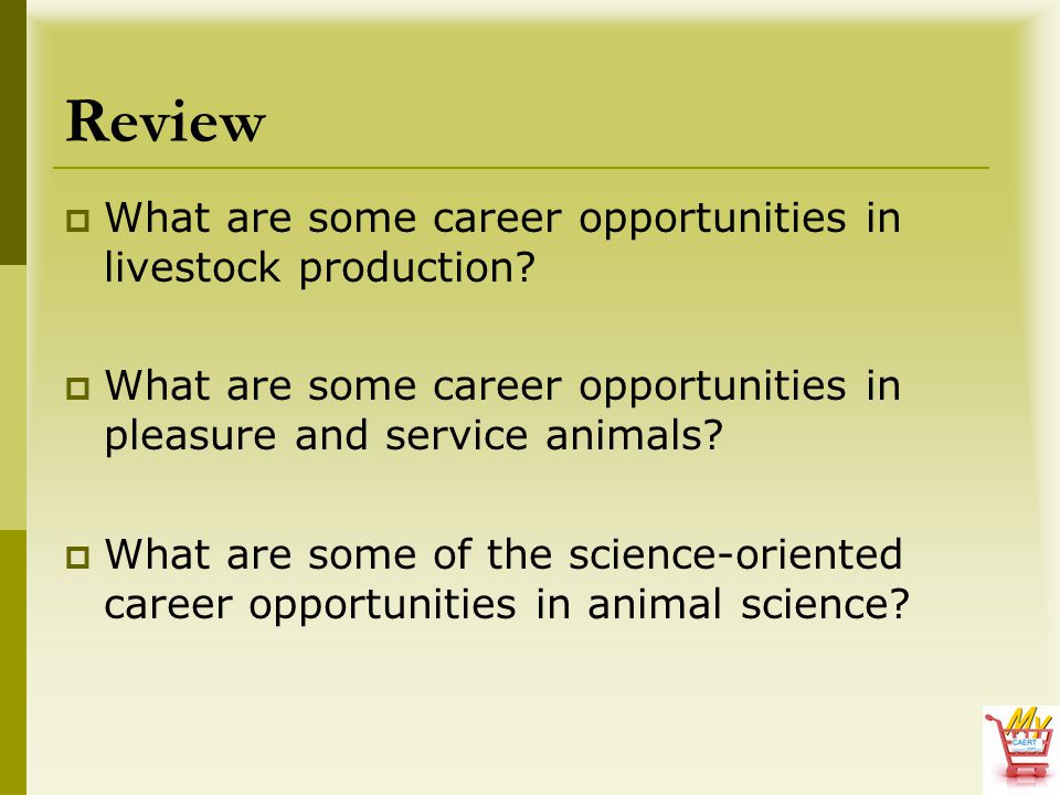 Review What are some career opportunities in livestock production