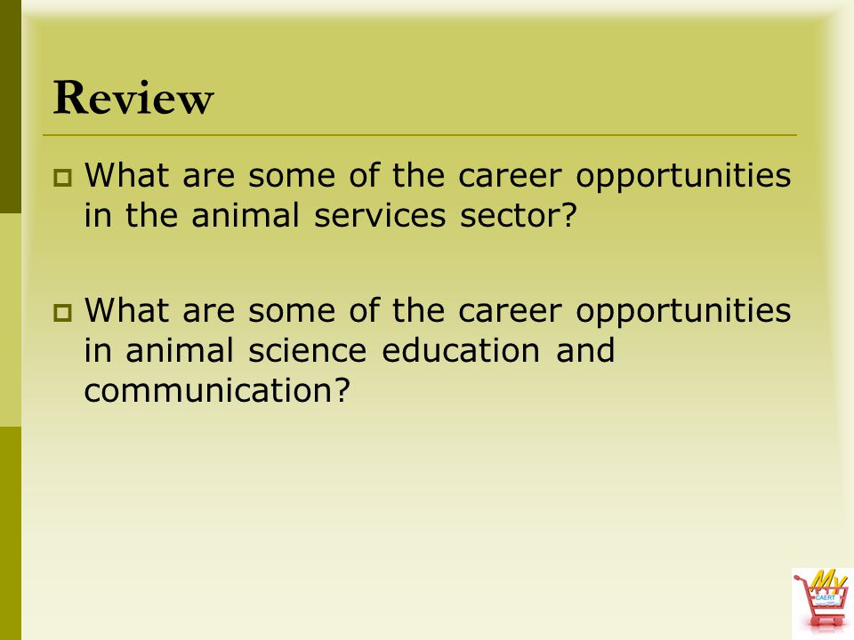 Review What are some of the career opportunities in the animal services sector