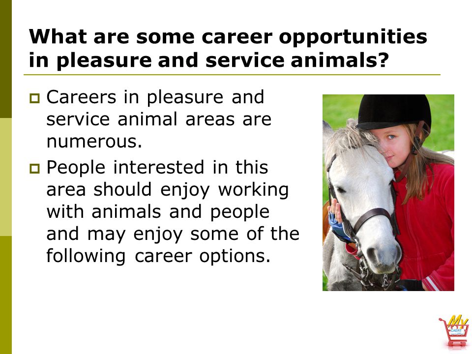 What are some career opportunities in pleasure and service animals