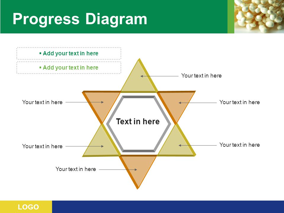 Progress Diagram Text in here Add your text in here