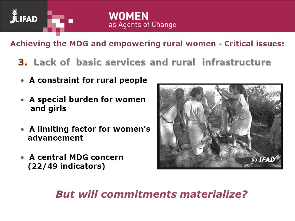 Achieving the MDG and empowering rural women - Critical issues: