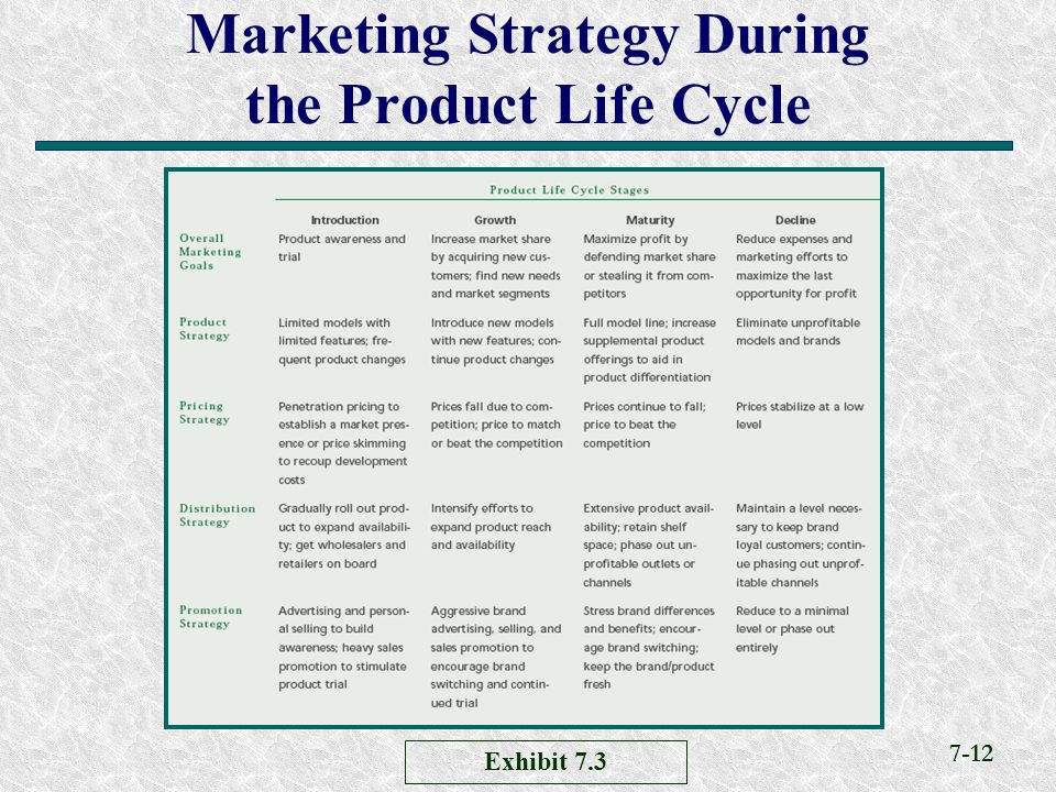 Marketing Strategy During the Product Life Cycle