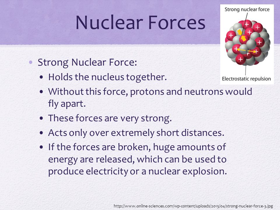 Nuclear Forces Strong Nuclear Force: Holds the nucleus together.