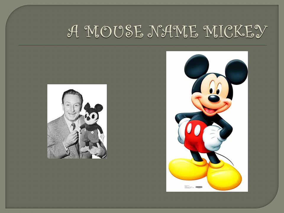 A MOUSE NAME MICKEY