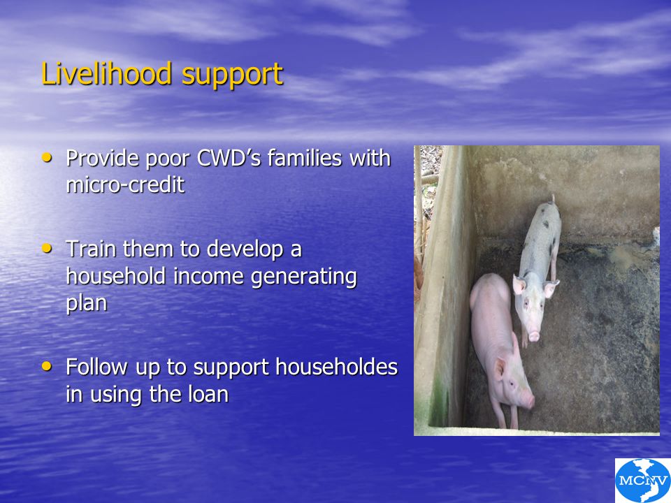 Livelihood support Provide poor CWD’s families with micro-credit