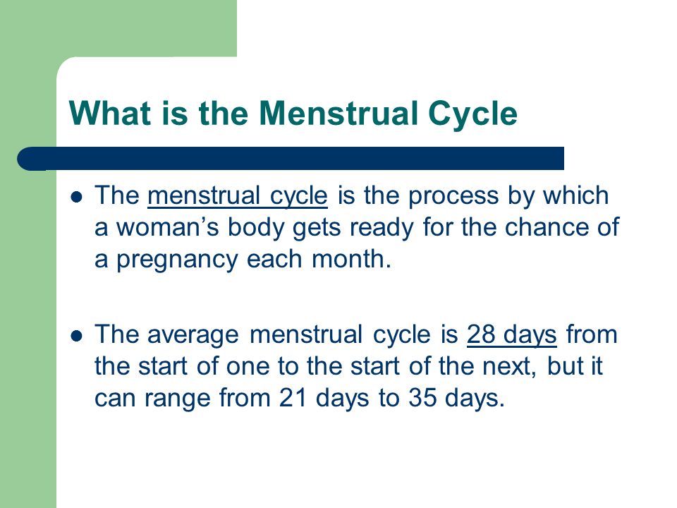 What is the Menstrual Cycle